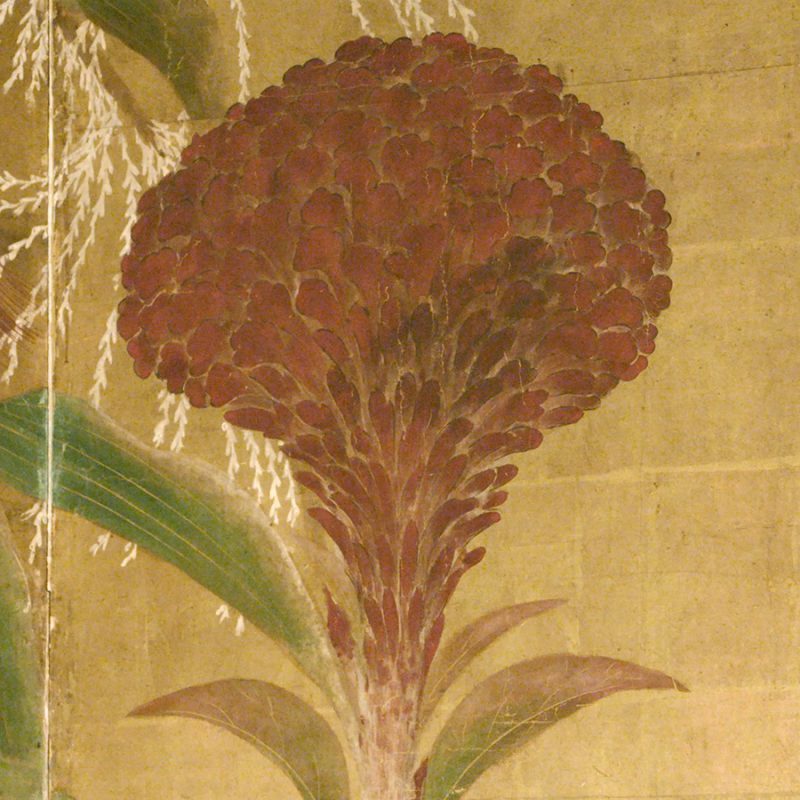 Thumbnail of Coxcombs, maize and morning glories, Detail 1