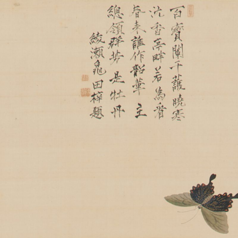 Peonies and Butterfly | Investigating Japan's Edo Avant Garde