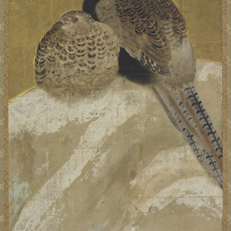 Thumbnail of Two pheasants on a snow bank