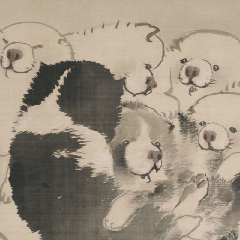 Thumbnail of Puppies, Detail 1