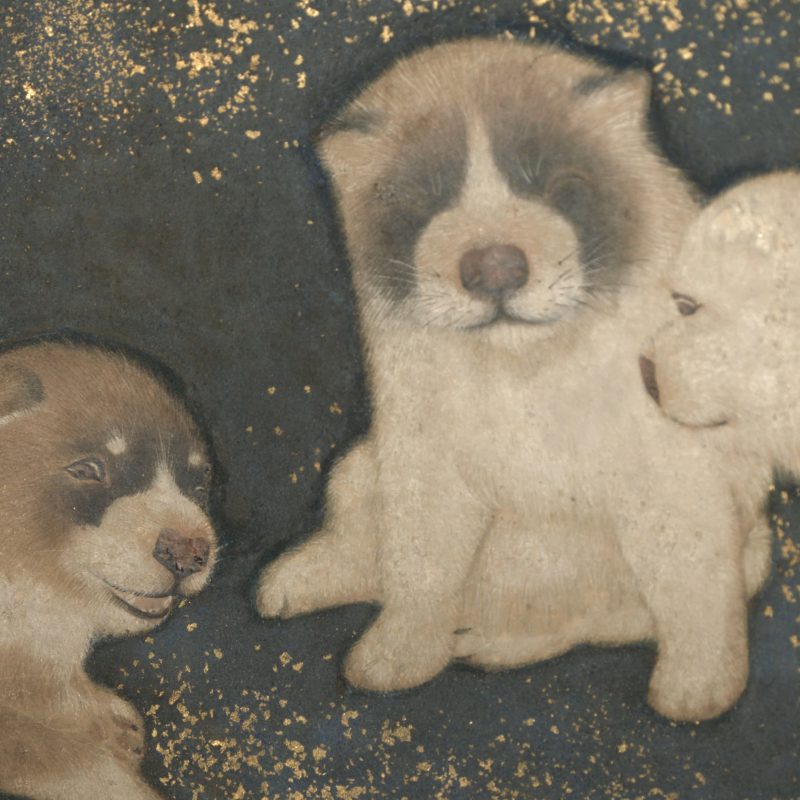 Thumbnail of Puppies